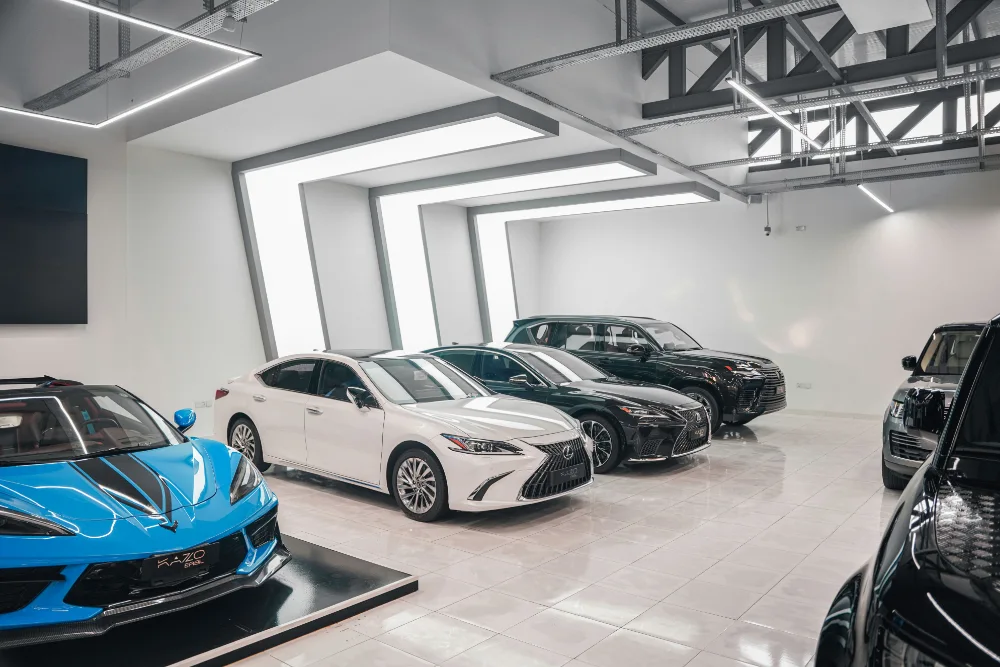 Automotive advisor helping customers choose a business vehicle